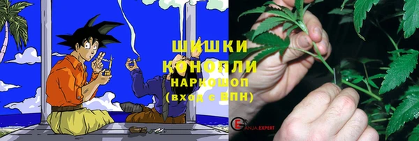 таблы Бородино