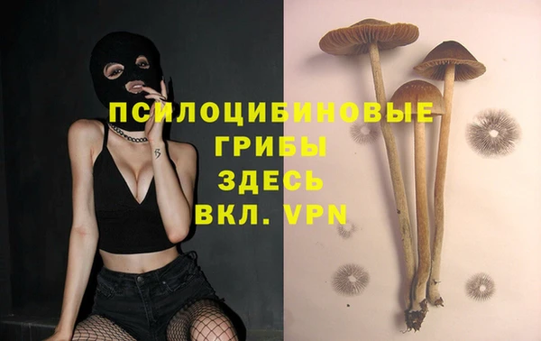 ешки Бугульма