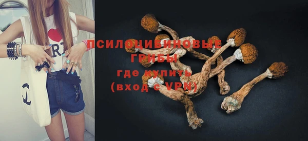 таблы Бородино