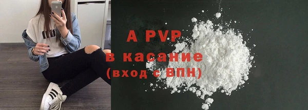 таблы Бородино