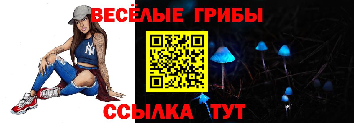 Мурманск  как найти закладки  Вход с VPN  Галлюциногенные грибы Psilocybe 